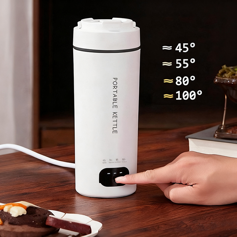 4段階6段階温度調節 EU/UK/USプラグ 220V/11 - Vacuum Chamber Small のレビューと価格